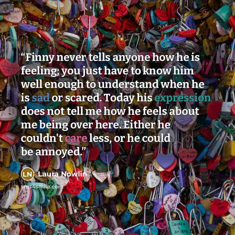 “Finny never tells anyone how he is feeling; you just have to know him well enough to understand when he is sad or scared. Today his expression does not tell me how he feels about me being over here. Either he couldn't care less, or he could be annoyed.” quote by Laura Nowlin