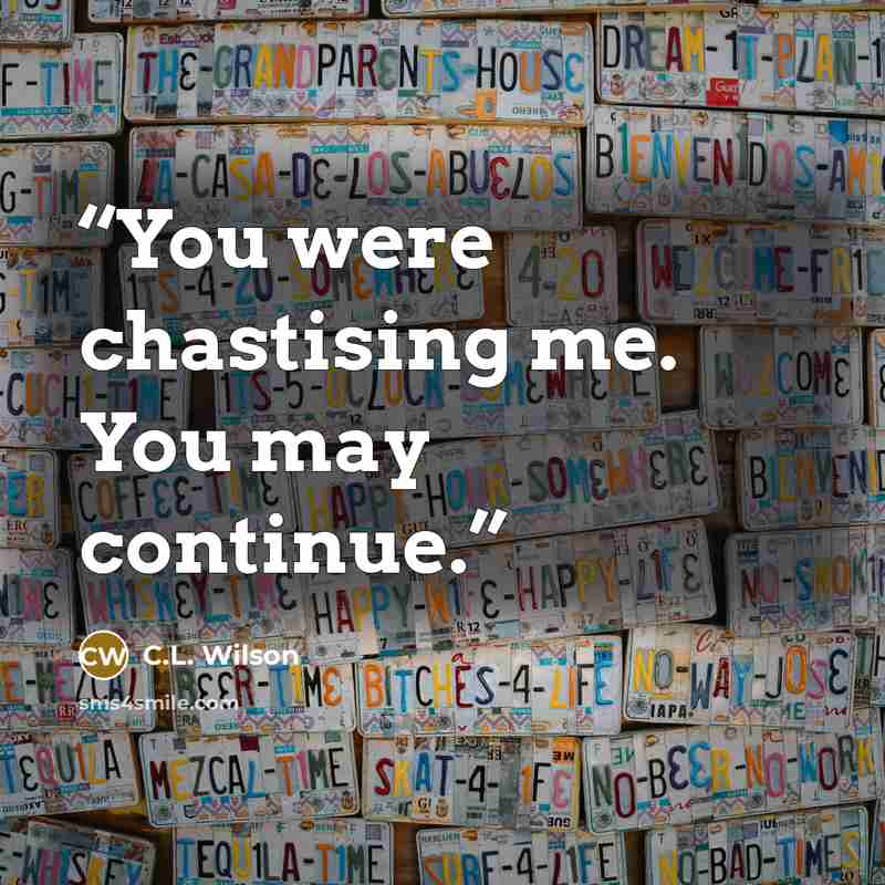 “You were chastising me. You may continue.” quote by C.L. Wilson