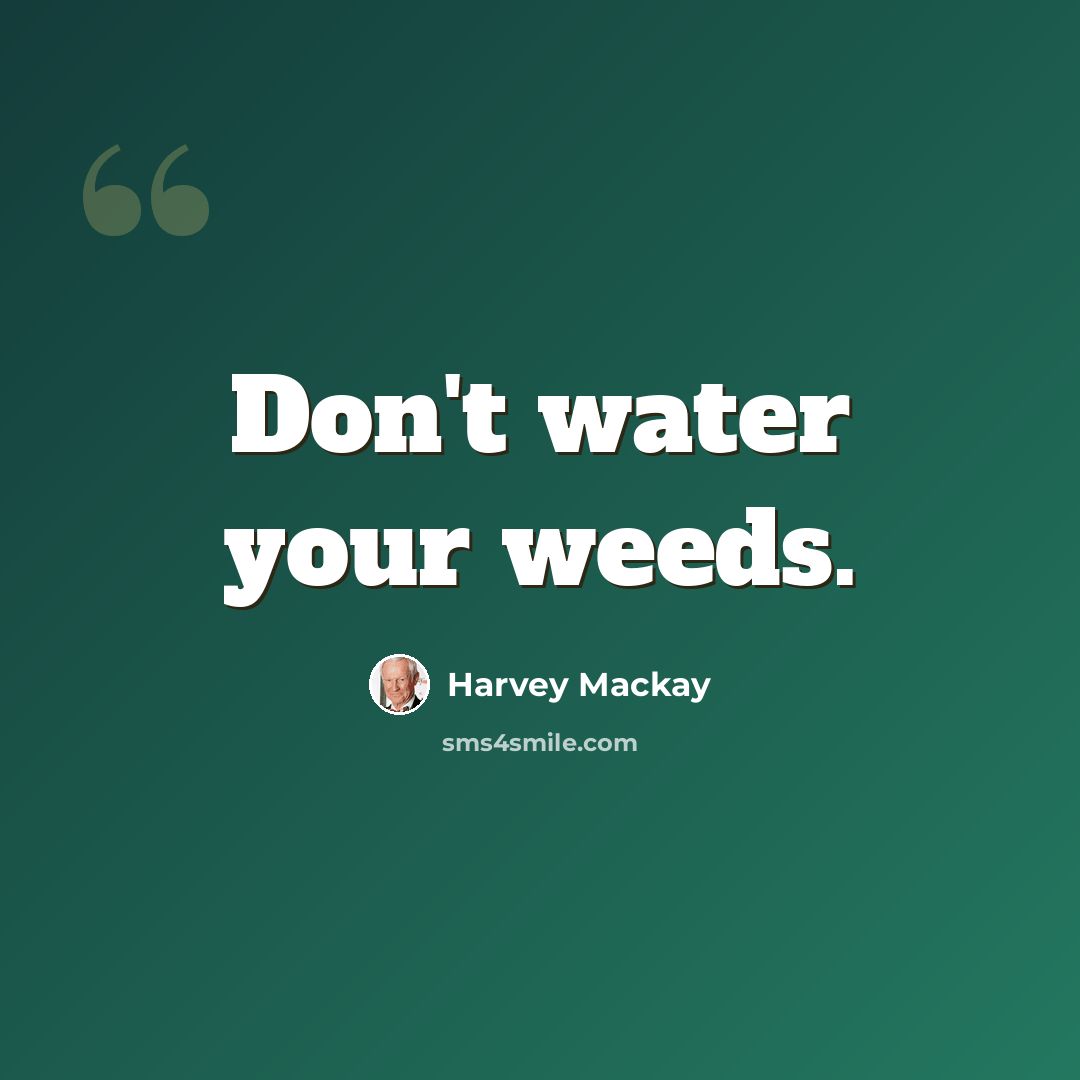“Don't water your weeds.” quote by Harvey Mackay