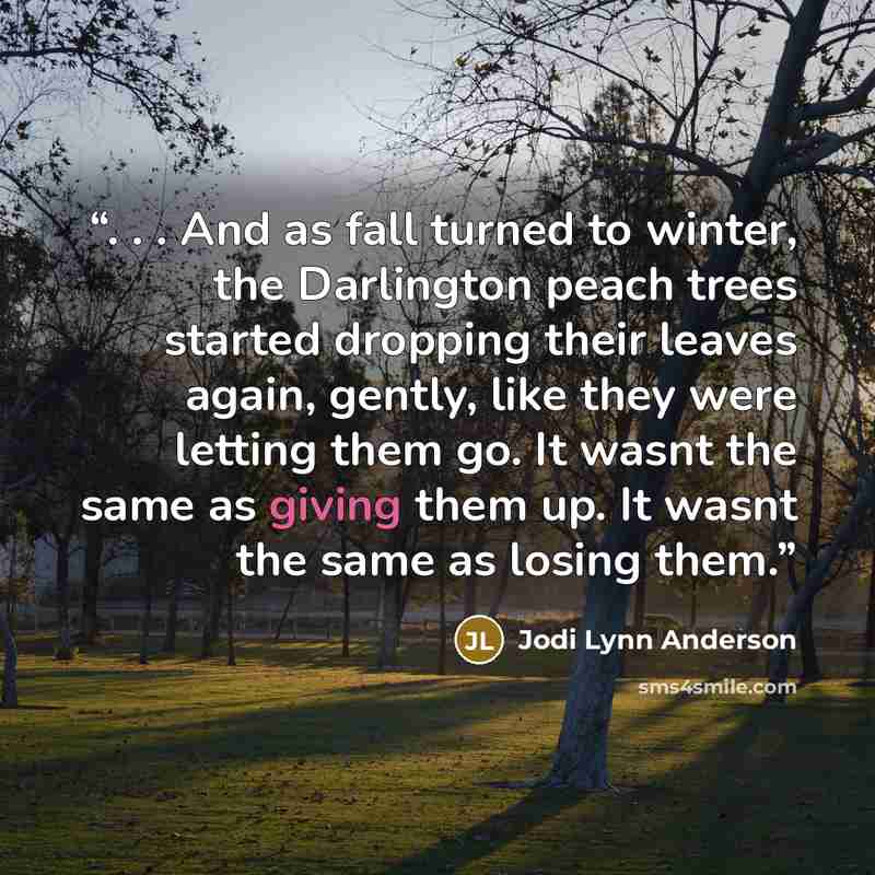 “. . . And as fall turned to winter, the Darlington peach trees started dropping their leaves again, gently, like they were letting them go. It wasnt the same as giving them up. It wasnt the same as losing them.” quote by Jodi Lynn Anderson