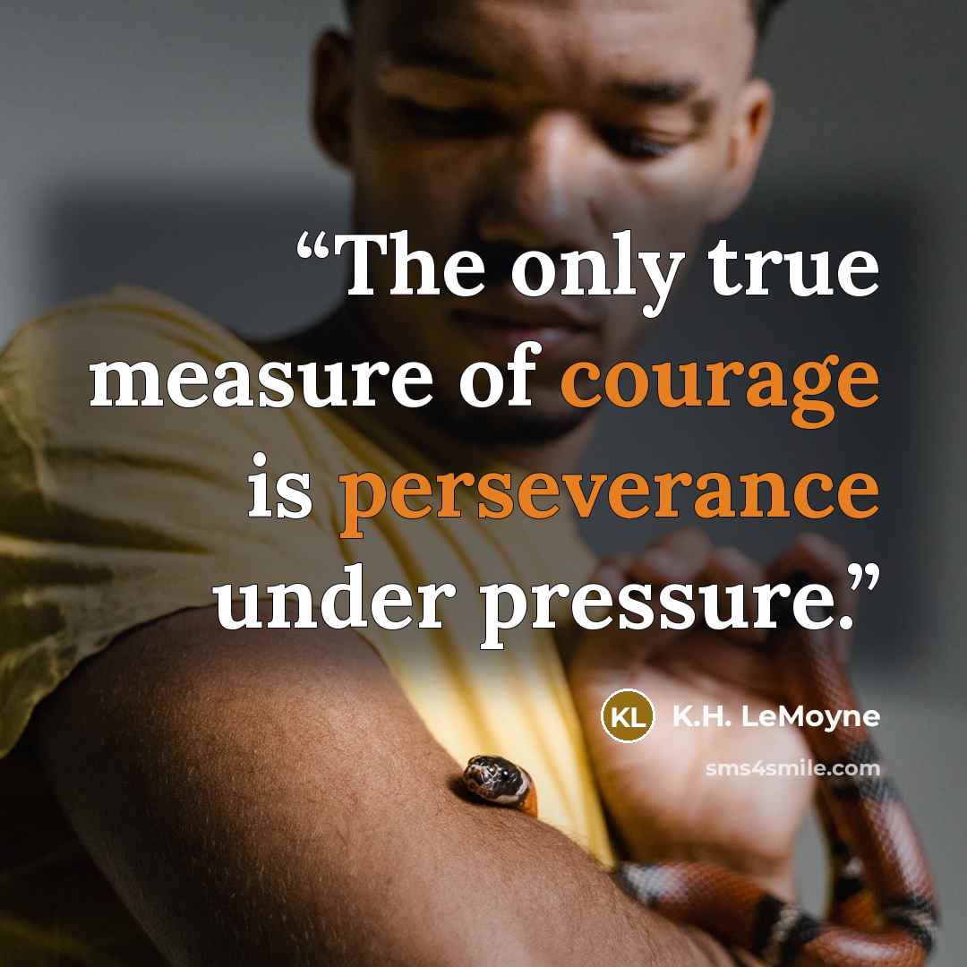 “The only true measure of courage is perseverance under pressure.” quote by K.H. LeMoyne