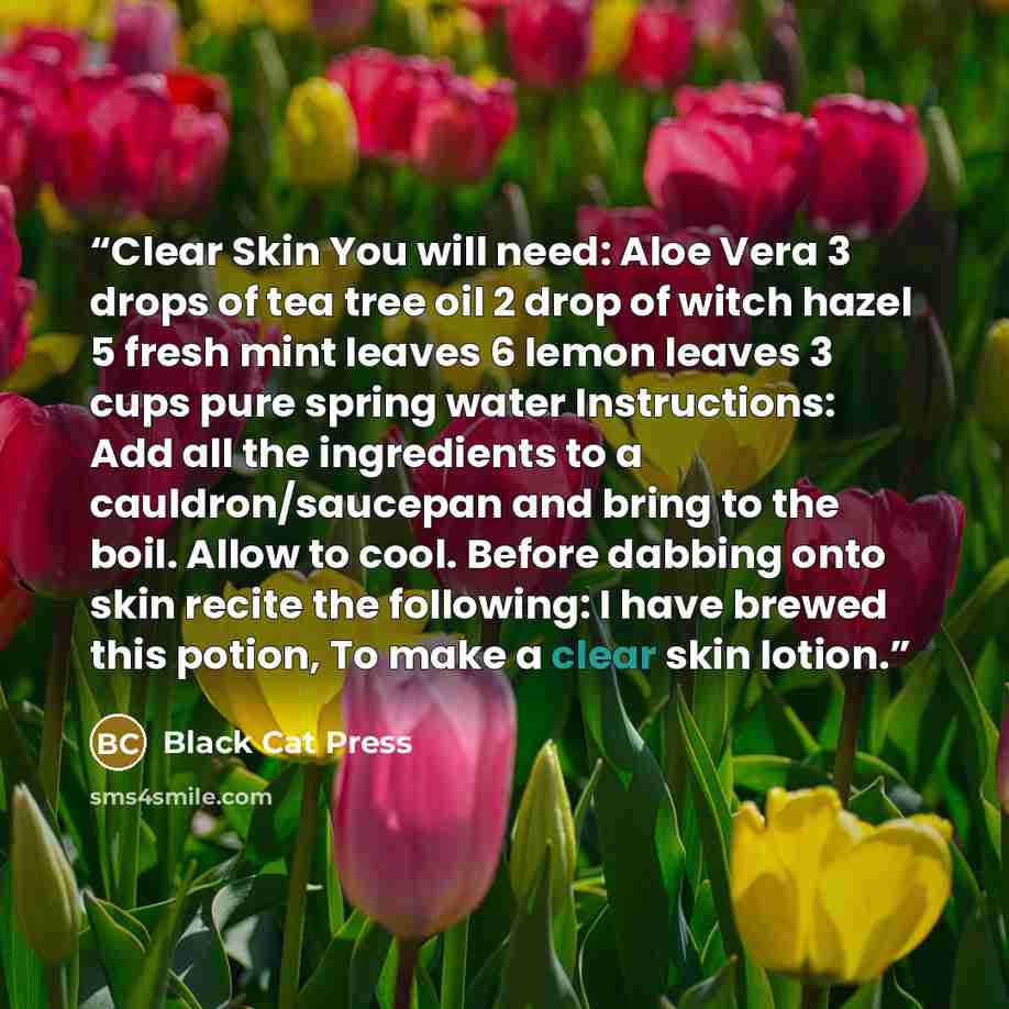 “Clear Skin You will need: Aloe Vera 3 drops of tea tree oil 2 drop of witch hazel 5 fresh mint leaves 6 lemon leaves 3 cups pure spring water Instructions: Add all the ingredients to a cauldron/saucepan and bring to the boil. Allow to cool. Before dabbing onto skin recite the following: I have…” quote by Black Cat Press