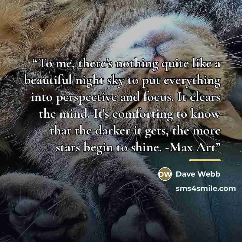 “To me, there's nothing quite like a beautiful night sky to put everything into perspective and focus. It clears the mind. It's comforting to know that the darker it gets, the more stars begin to shine. -Max Art” quote by Dave Webb