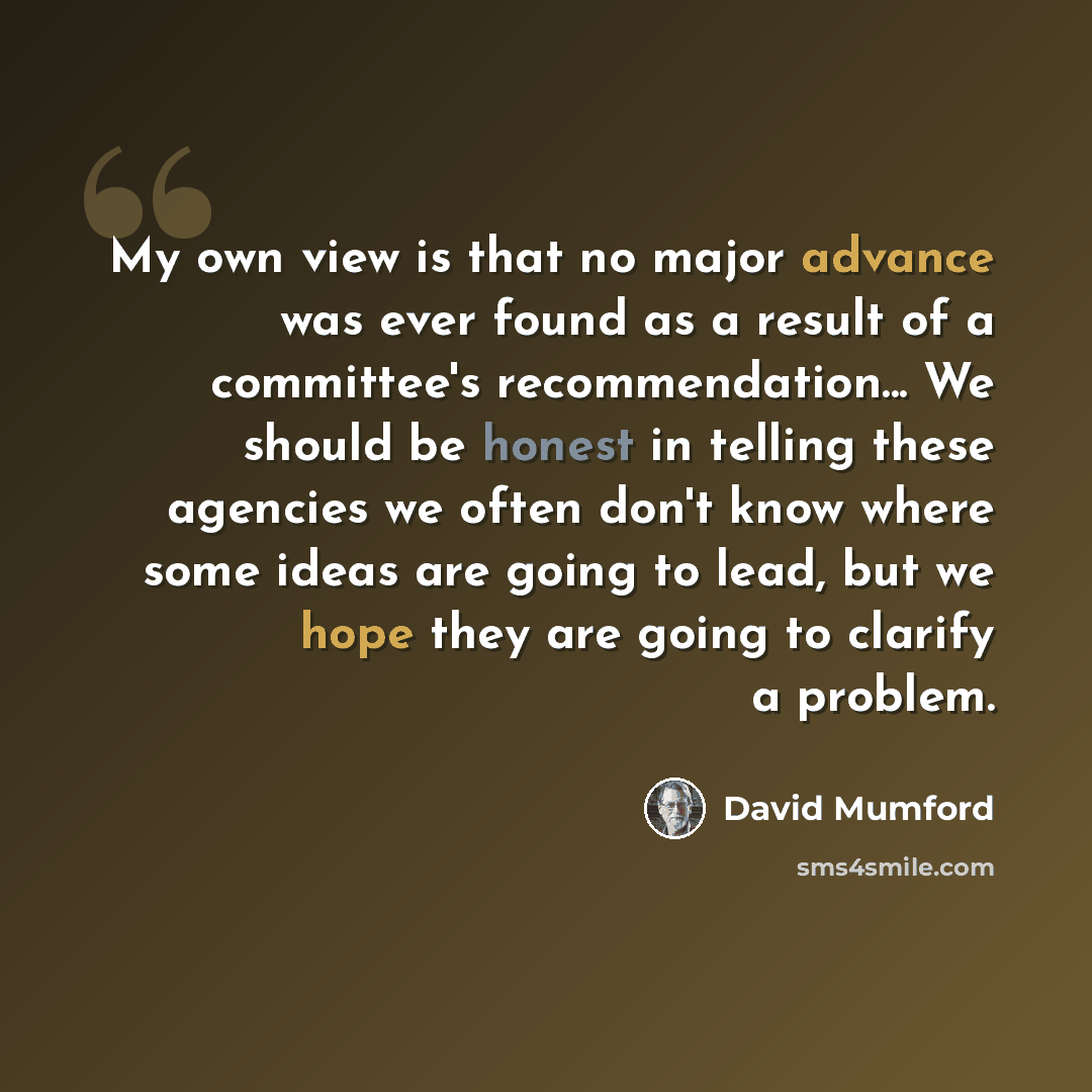 “My own view is that no major advance was ever found as a result of a committee's recommendation... We should be honest in telling these agencies we often don't know where some ideas are going to lead, but we hope they are going to clarify a problem.” quote by David Mumford