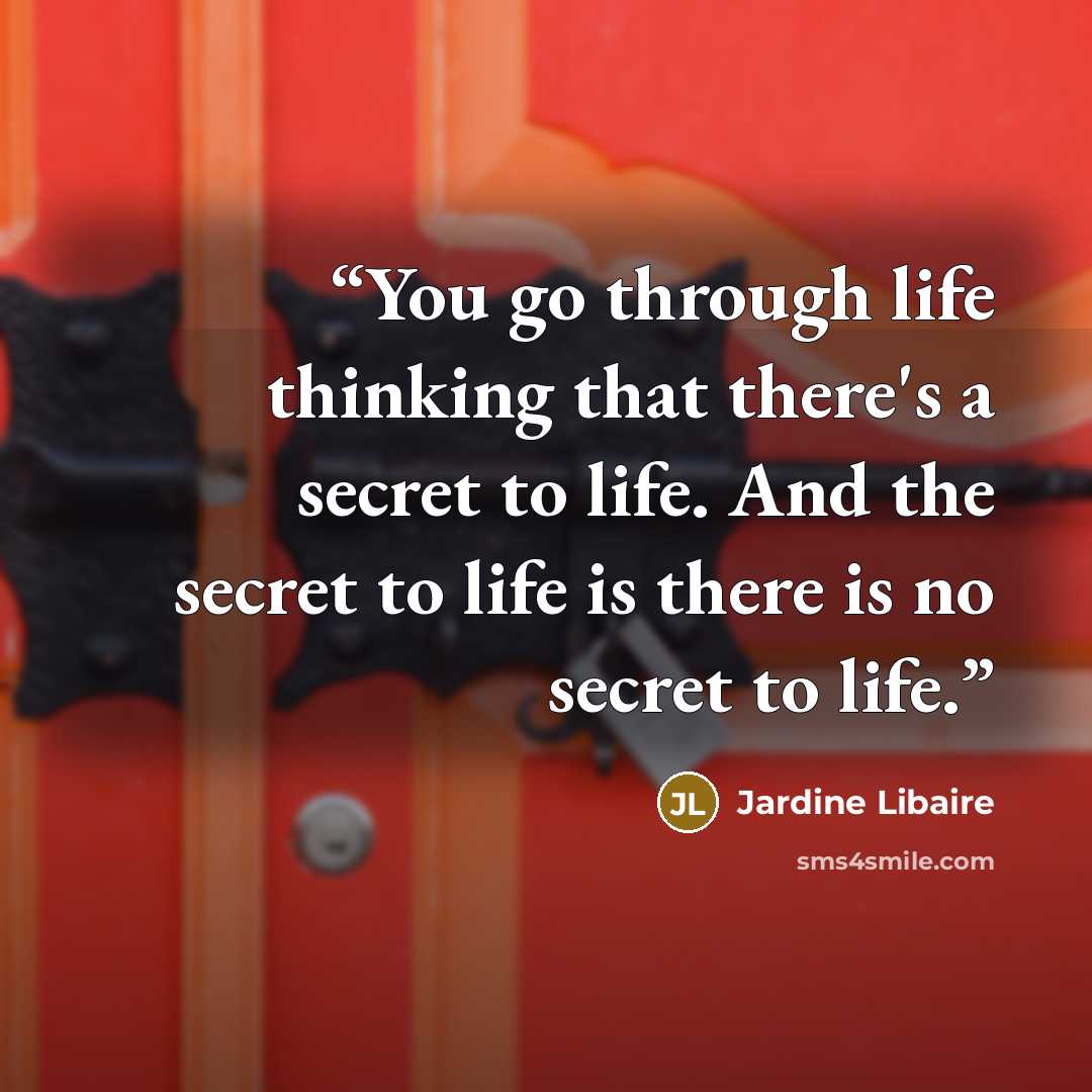 “You go through life thinking that there's a secret to life. And the secret to life is there is no secret to life.” quote by Jardine Libaire
