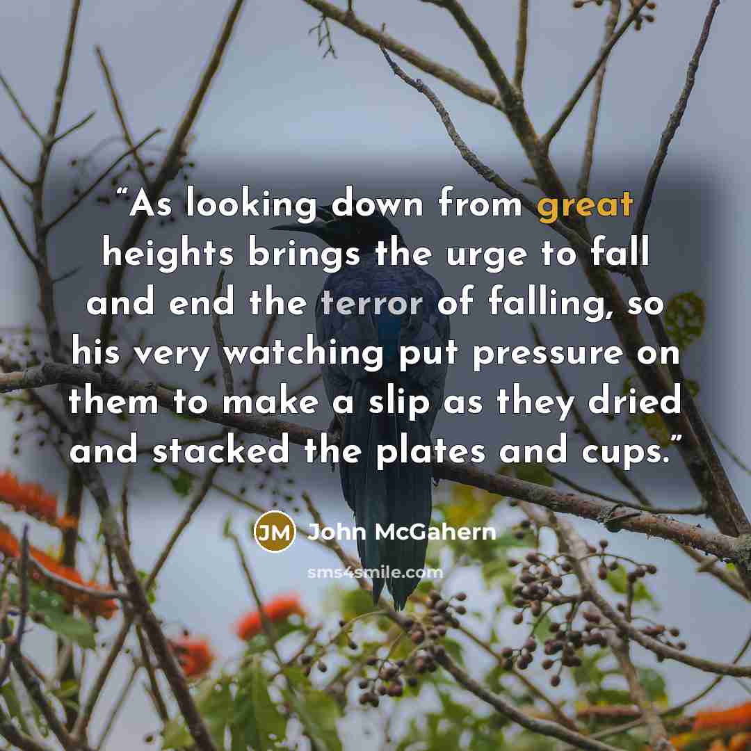 “As looking down from great heights brings the urge to fall and end the terror of falling, so his very watching put pressure on them to make a slip as they dried and stacked the plates and cups.” quote by John McGahern