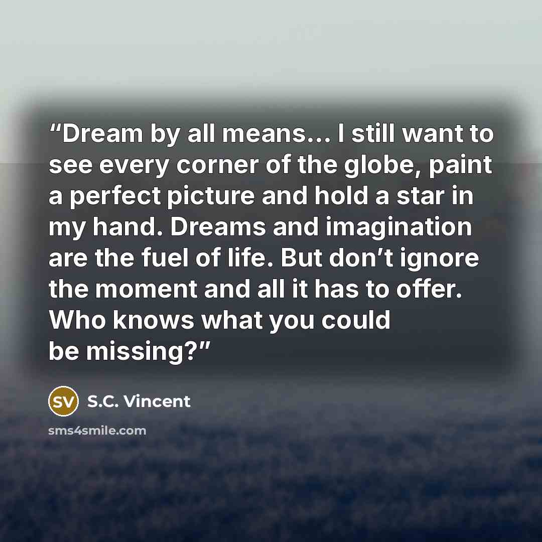 “Dream by all means… I still want to see every corner of the globe, paint a perfect picture and hold a star in my hand. Dreams and imagination are the fuel of life. But don’t ignore the moment and all it has to offer. Who knows what you could be missing?” quote by S.C. Vincent