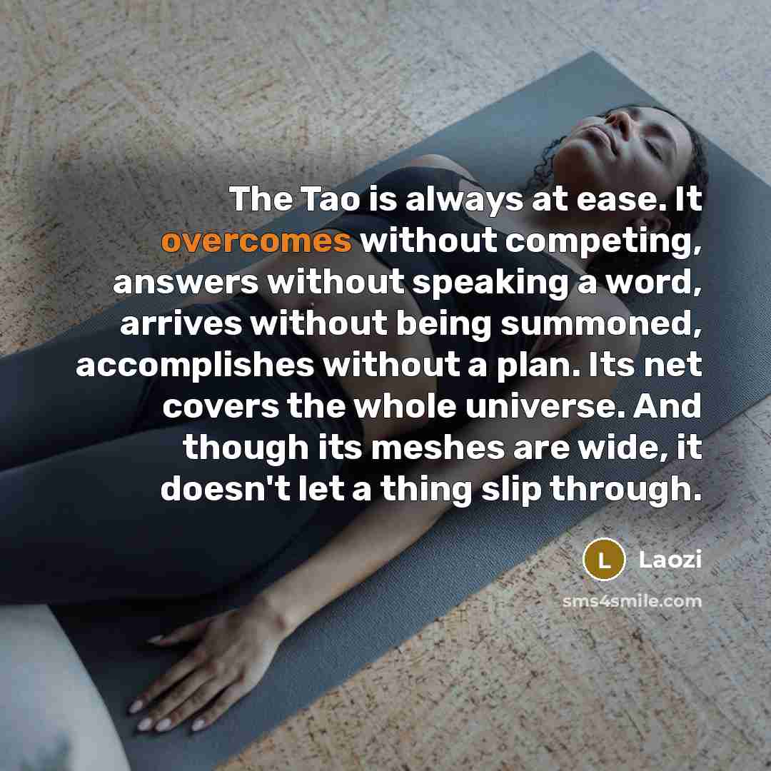 “The Tao is always at ease. It overcomes without competing, answers without speaking a word, arrives without being summoned, accomplishes without a plan. Its net covers the whole universe. And though its meshes are wide, it doesn't let a thing slip through.” quote by Laozi