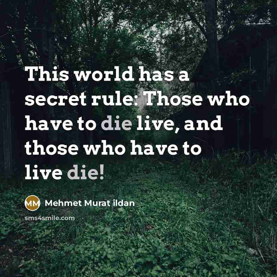 “This world has a secret rule: Those who have to die live, and those who have to live die!” quote by Mehmet Murat Ildan