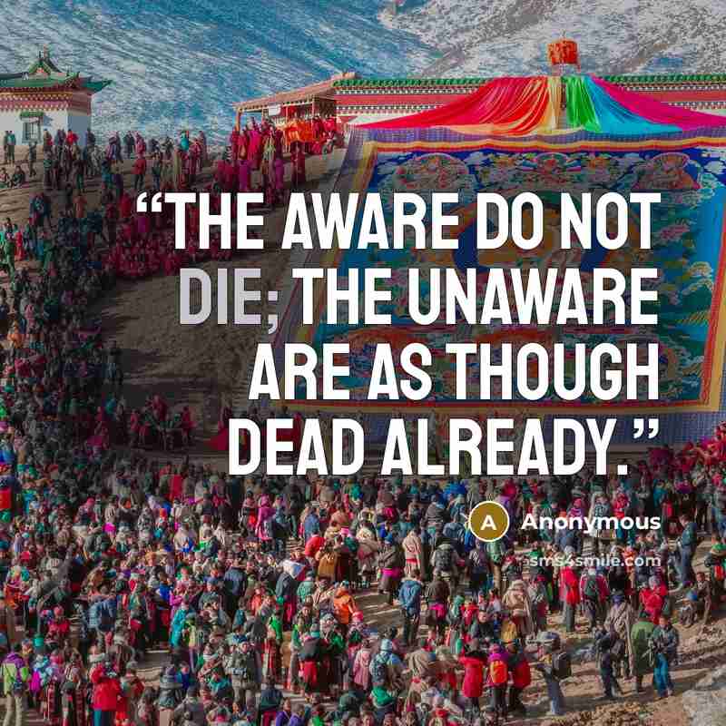 “The aware do not die; The unaware are as though dead already.” quote by Anonymous