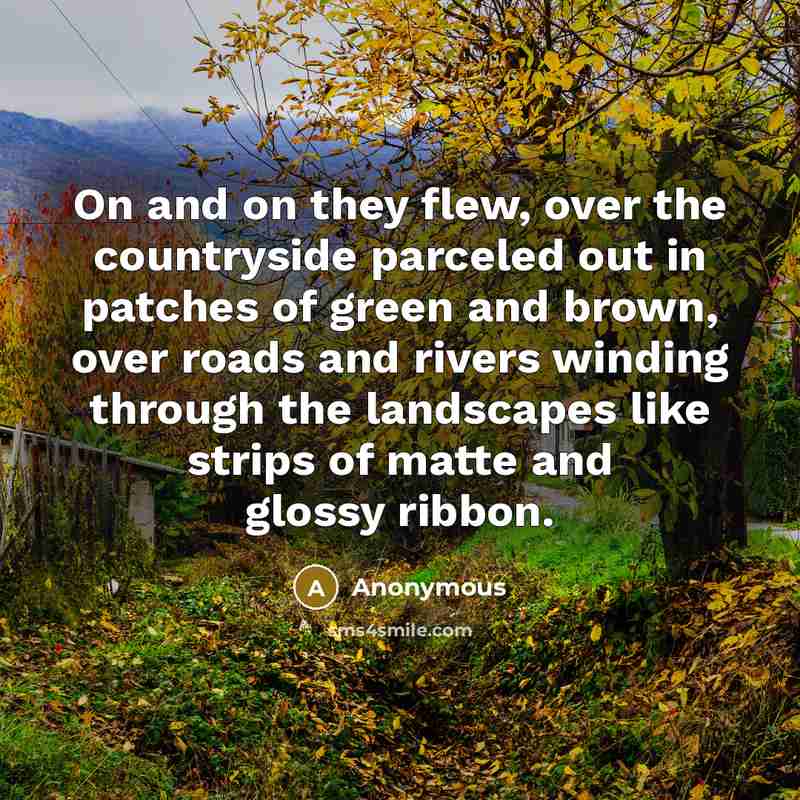 “On and on they flew, over the countryside parceled out in patches of green and brown, over roads and rivers winding through the landscapes like strips of matte and glossy ribbon.” quote by Anonymous