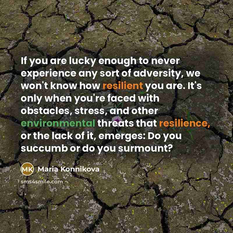 “If you are lucky enough to never experience any sort of adversity, we won't know how resilient you are. It's only when you're faced with obstacles, stress, and other environmental threats that resilience, or the lack of it, emerges: Do you succumb or do you surmount?” quote by Maria Konnikova