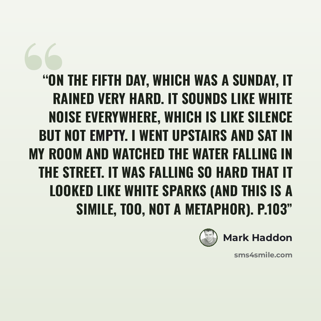 “On the fifth day, which was a Sunday, It rained very hard. It sounds like white noise everywhere, which is like silence but not empty. I went upstairs and sat in my room and watched the water falling in the street. It was falling so hard that it looked like white sparks (and this is a simile, too…” quote by Mark Haddon