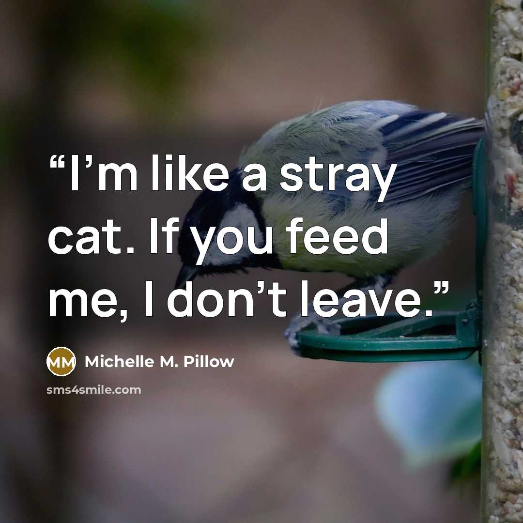“I'm like a stray cat. If you feed me, I don't leave.” quote by Michelle M. Pillow
