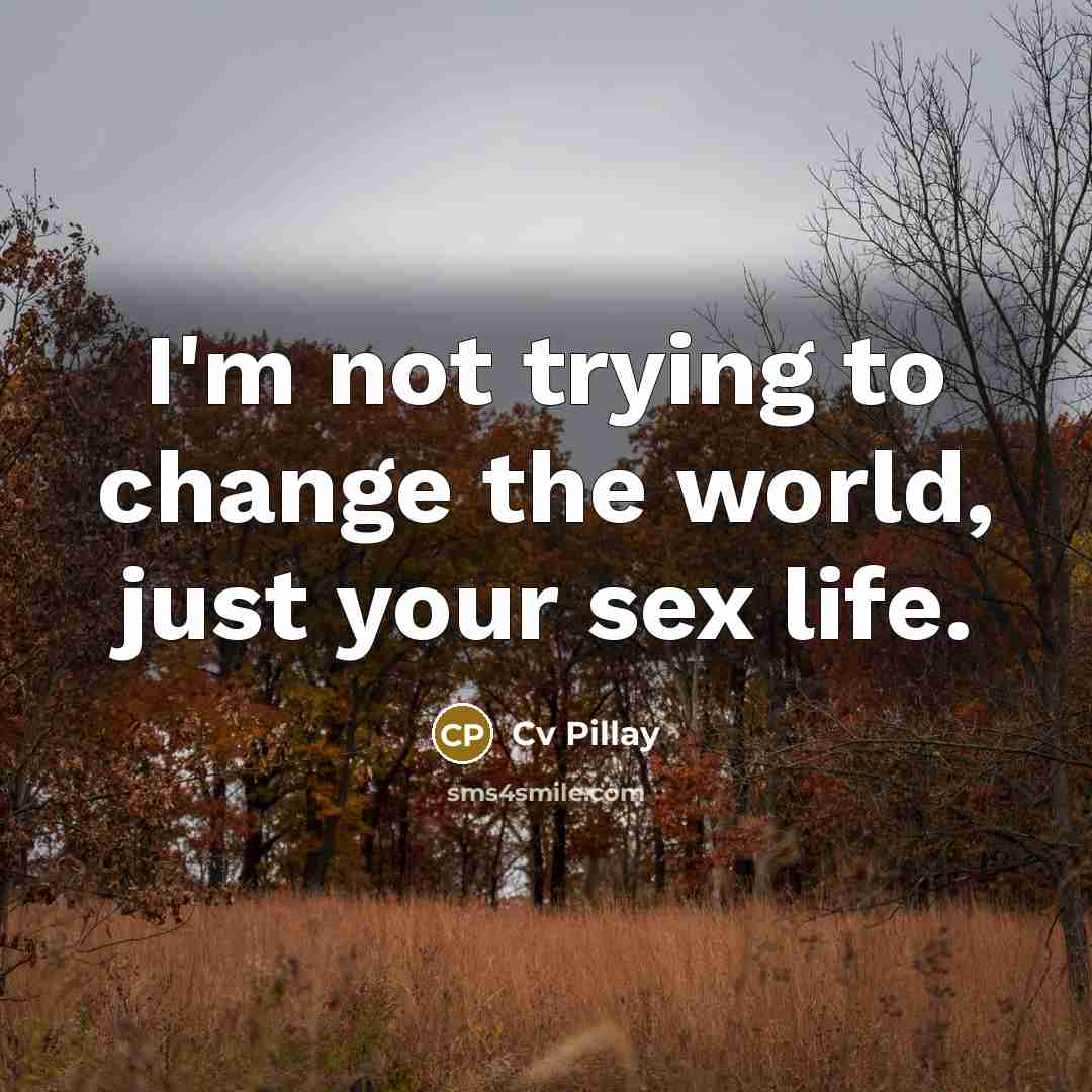 “I'm not trying to change the world, just your sex life.” quote by Cv Pillay