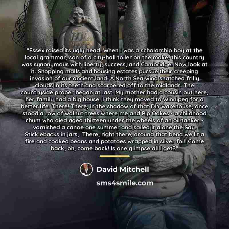 “Essex raised its ugly head. When i was a scholarship boy at the local grammar, son of a city-hall toiler on the make, this country was synonymous with liberty, success, and Cambridge. Now look at it. Shopping malls and housing estates pursue their creeping invasion of our ancient land. A North Sea…” quote by David Mitchell