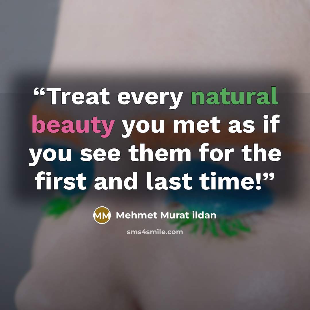 “Treat every natural beauty you met as if you see them for the first and last time!” quote by Mehmet Murat ildan