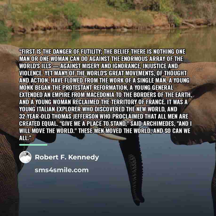 “First is the danger of futility; the belief there is nothing one man or one woman can do against the enormous array of the world's ills — against misery and ignorance, injustice and violence. Yet many of the world's great movements, of thought and action, have flowed from the work of a single man…” quote by Robert F. Kennedy