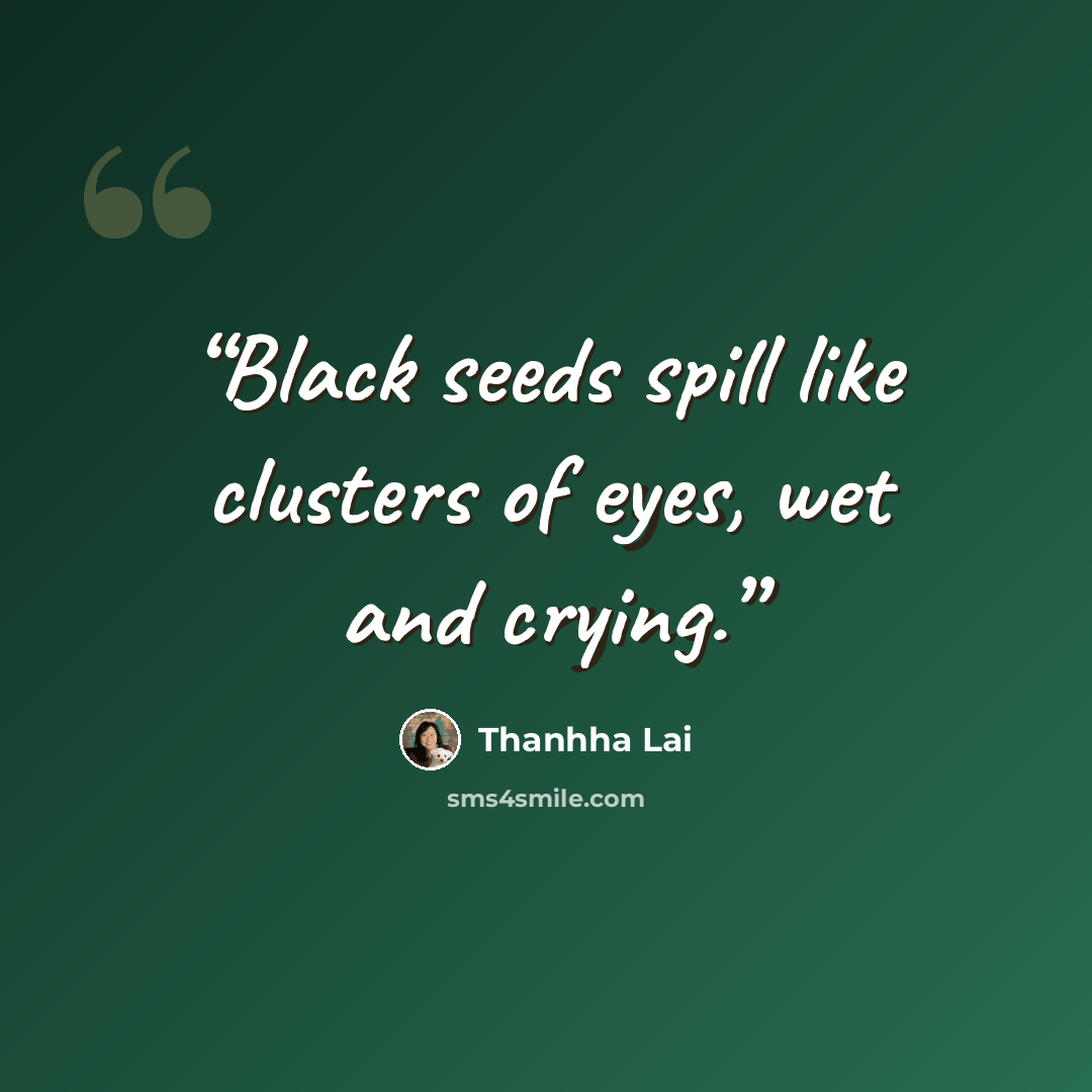 “Black seeds spill like clusters of eyes, wet and crying.” quote by Thanhha Lai