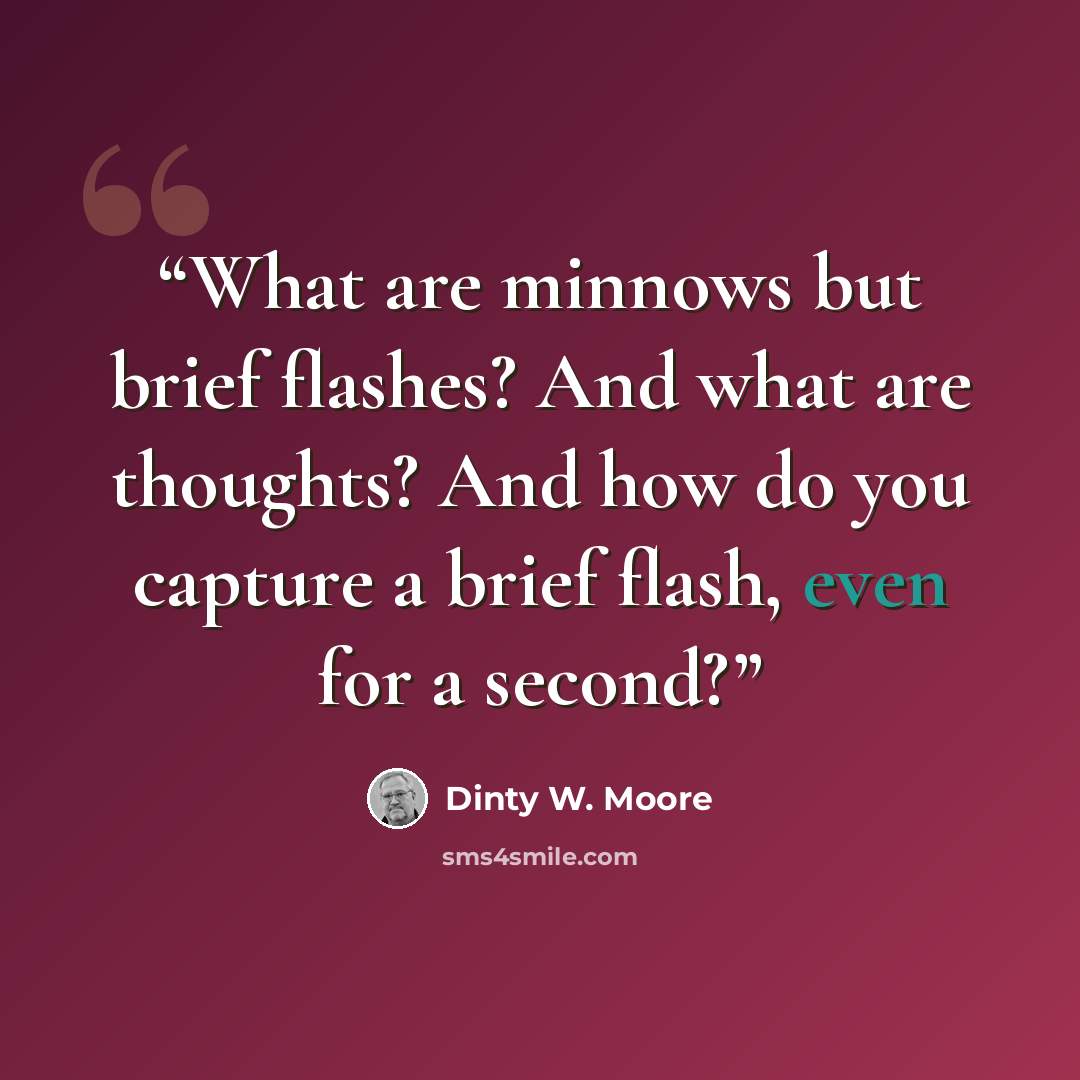 “What are minnows but brief flashes? And what are thoughts? And how do you capture a brief flash, even for a second?” quote by Dinty W. Moore