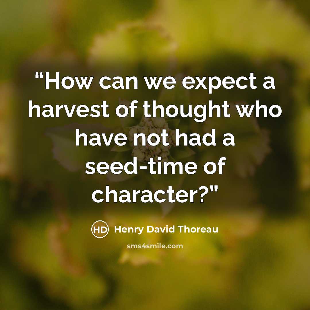 “How can we expect a harvest of thought who have not had a seed-time of character?” quote by Henry David Thoreau