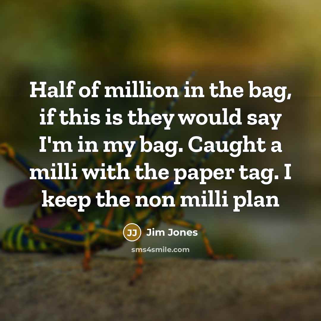 “Half of million in the bag, if this is they would say I'm in my bag. Caught a milli with the paper tag. I keep the non milli plan” quote by Jim Jones