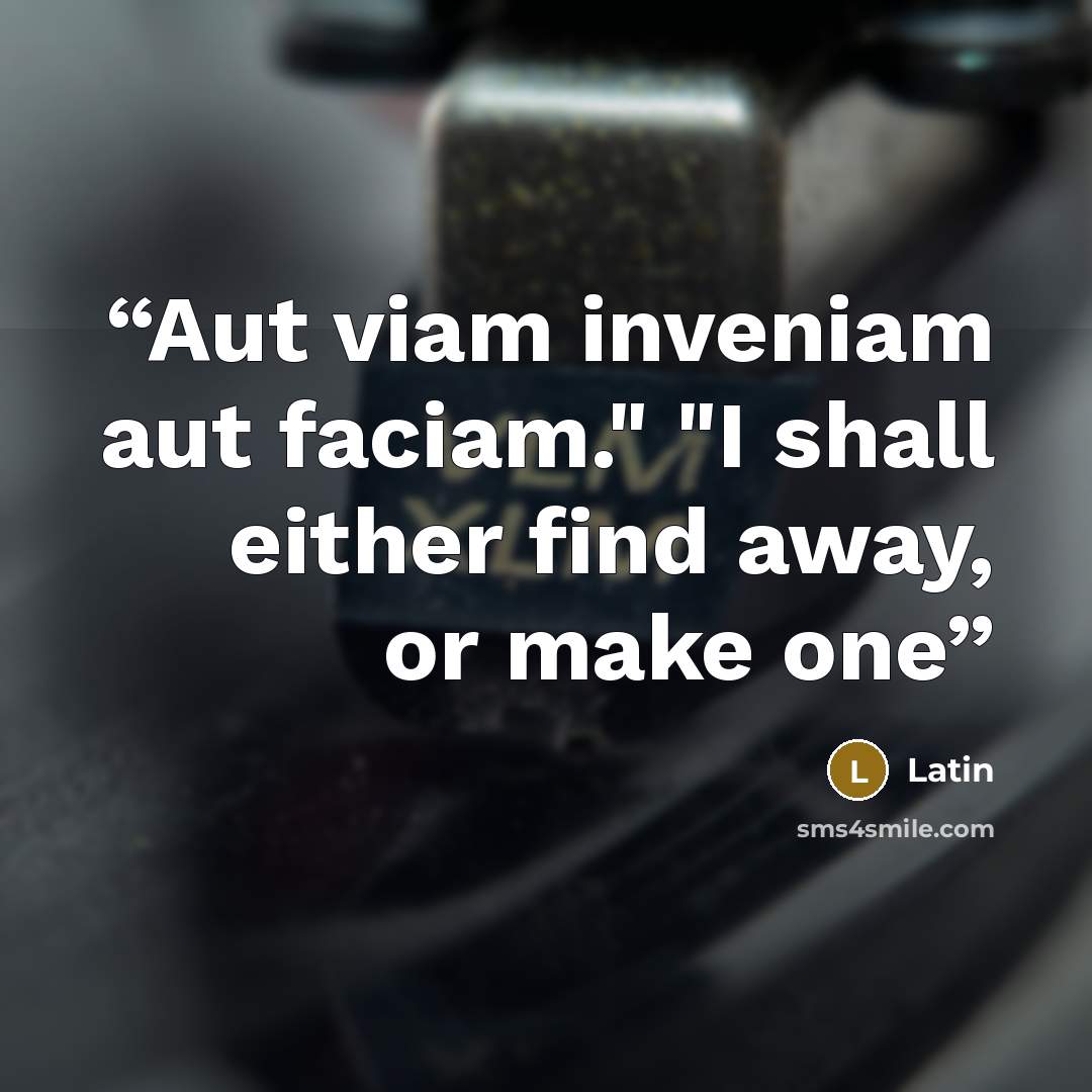 “Aut viam inveniam aut faciam." "I shall either find away, or make one” quote by Latin