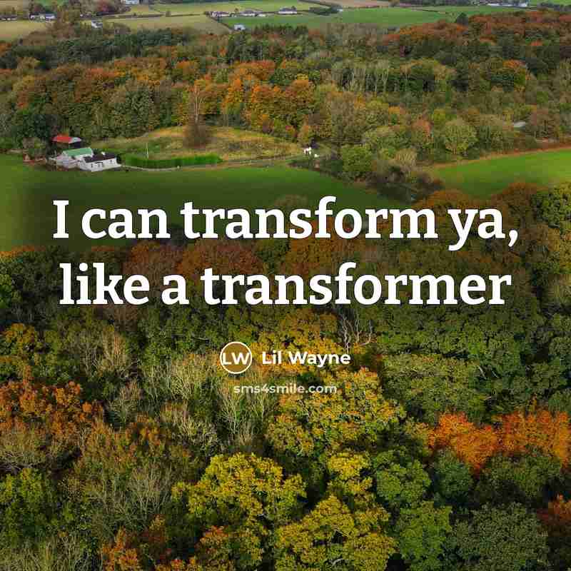 “I can transform ya, like a transformer” quote by Lil Wayne