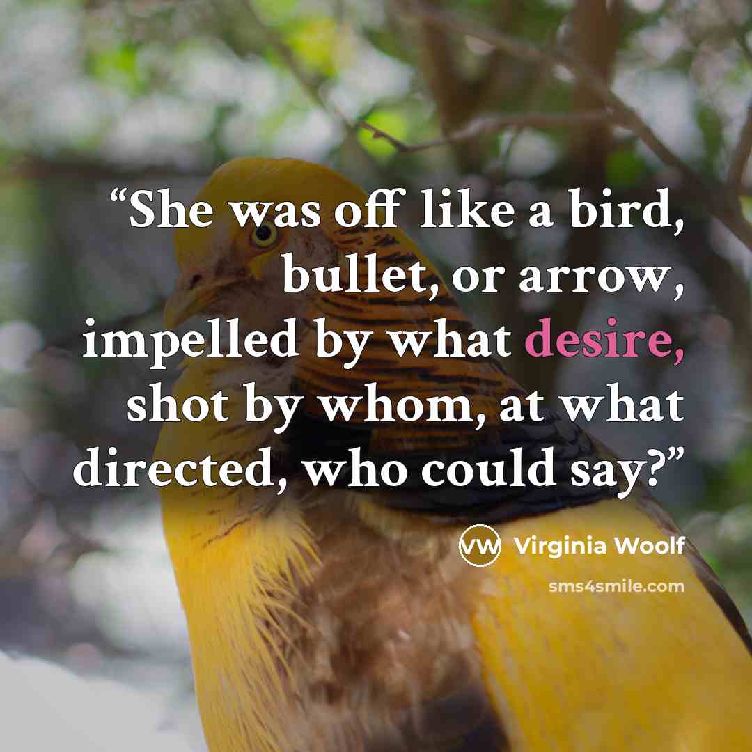 “She was off like a bird, bullet, or arrow, impelled by what desire, shot by whom, at what directed, who could say?” quote by Virginia Woolf