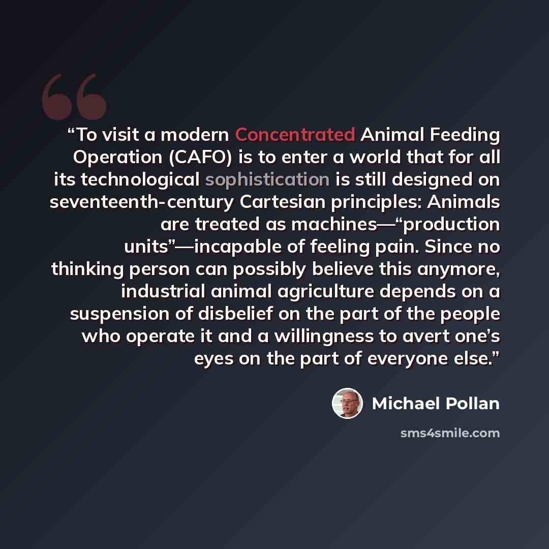 “To visit a modern Concentrated Animal Feeding Operation (CAFO) is to enter a world that for all its technological sophistication is still designed on seventeenth-century Cartesian principles: Animals are treated as machines—“production units”—incapable of feeling pain. Since no thinking person can…” quote by Michael Pollan
