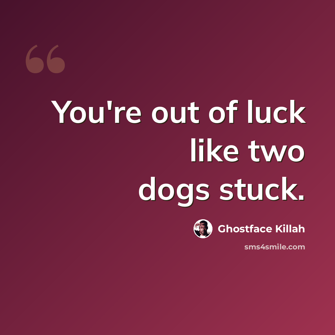 “You're out of luck like two dogs stuck.” quote by Ghostface Killah