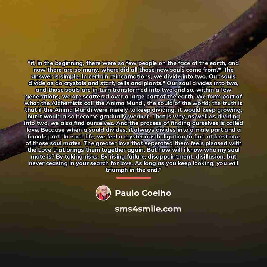 “if, in the beginning, there were so few people on the face of the earth, and now there are so many, where did all those new souls come from?" The answer is simple. In certain reincarnations, we divide into two. Our souls divide as do crystals and start, cells and plants." Our soul divides into…” quote by Paulo Coelho