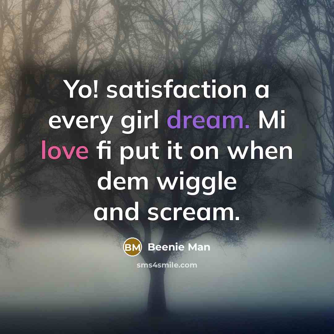 “Yo! satisfaction a every girl dream. Mi love fi put it on when dem wiggle and scream.” quote by Beenie Man