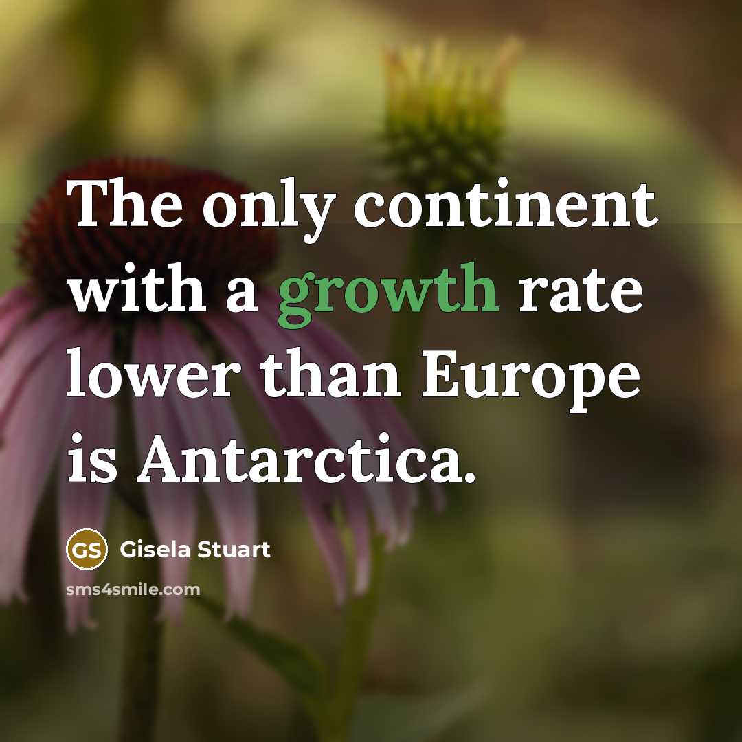 “The only continent with a growth rate lower than Europe is Antarctica.” quote by Gisela Stuart