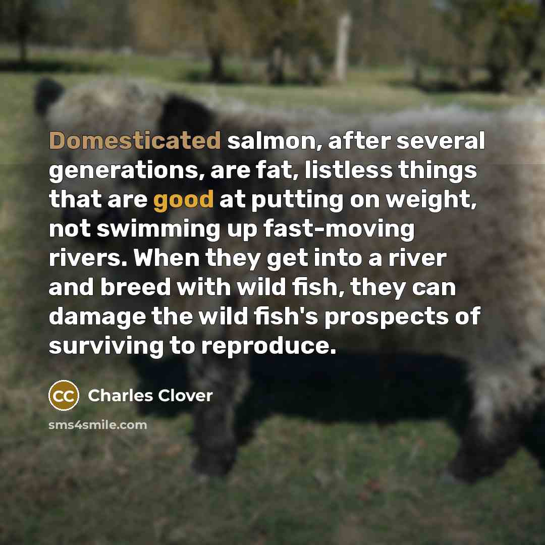 “Domesticated salmon, after several generations, are fat, listless things that are good at putting on weight, not swimming up fast-moving rivers. When they get into a river and breed with wild fish, they can damage the wild fish's prospects of surviving to reproduce.” quote by Charles Clover