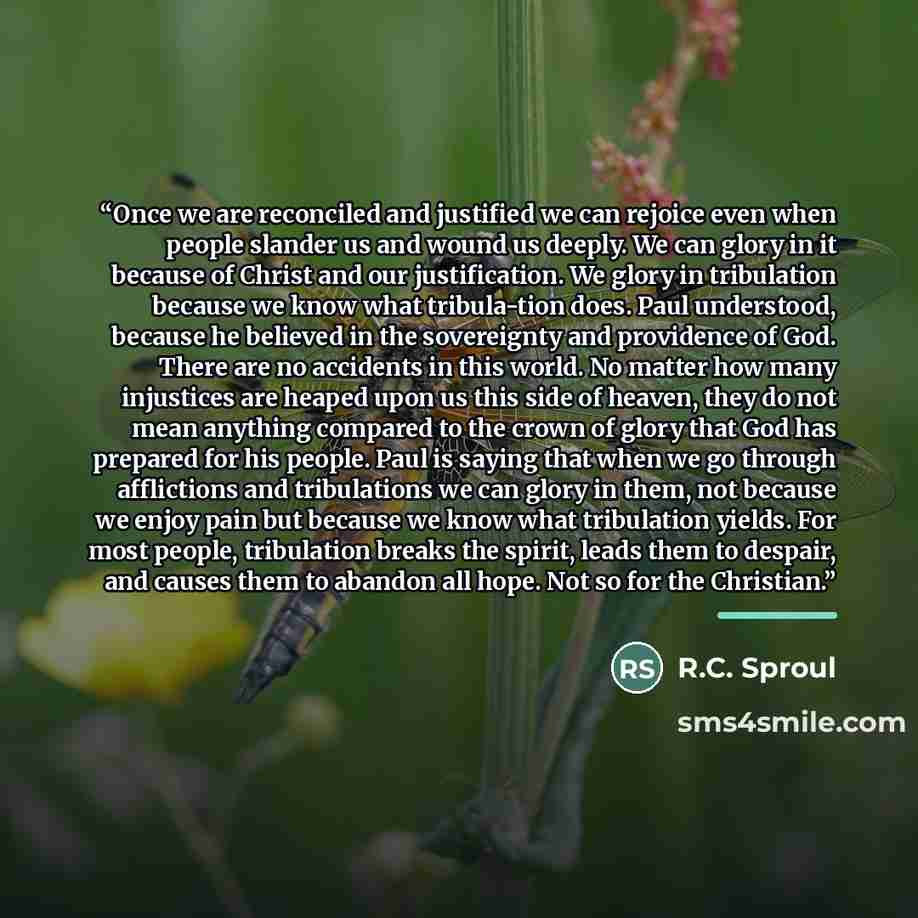 “Once we are reconciled and justified we can rejoice even when people slander us and wound us deeply. We can glory in it because of Christ and our justification. We glory in tribulation because we know what tribula-tion does. Paul understood, because he believed in the sovereignty and providence of…” quote by R.C. Sproul
