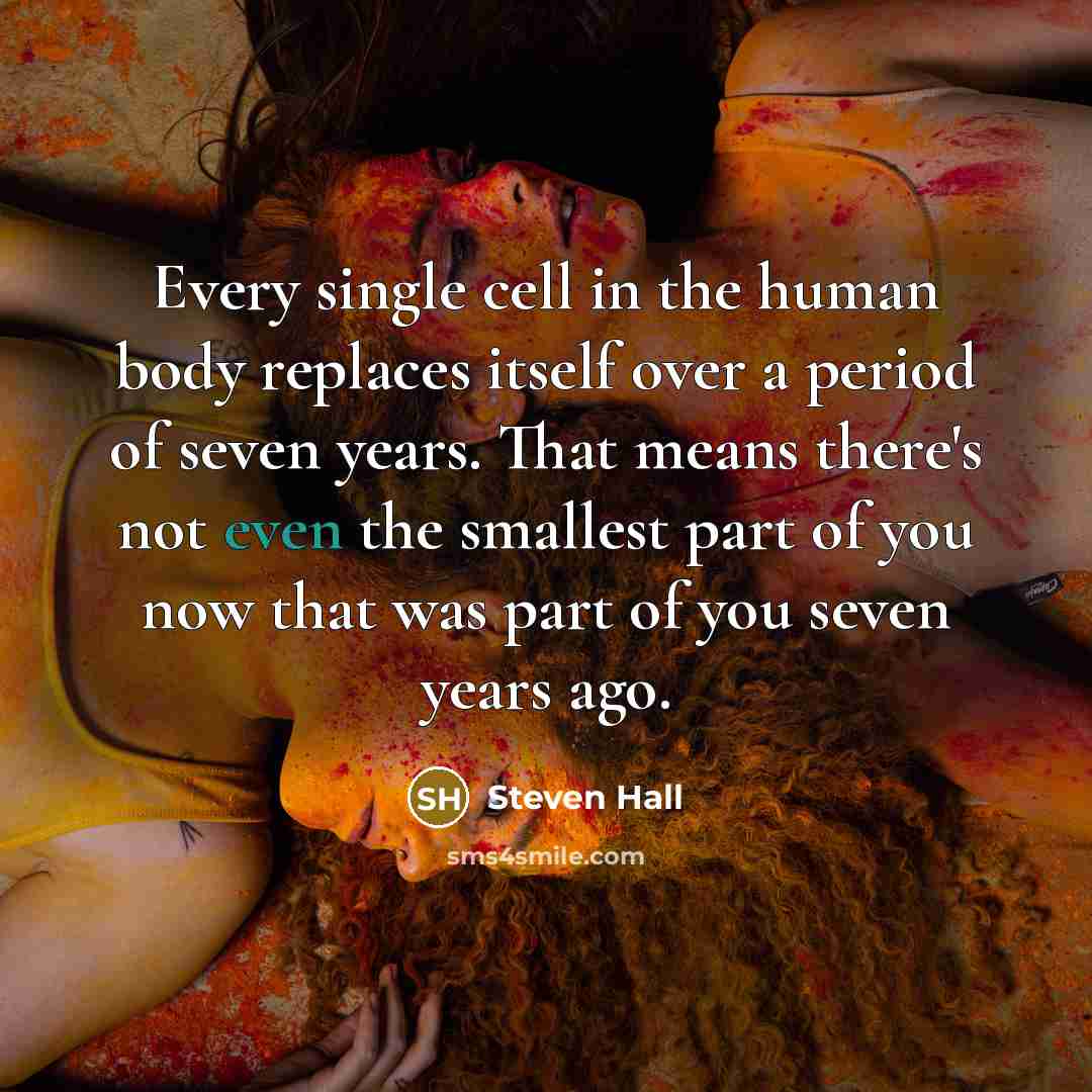 “Every single cell in the human body replaces itself over a period of seven years. That means there's not even the smallest part of you now that was part of you seven years ago.” quote by Steven Hall