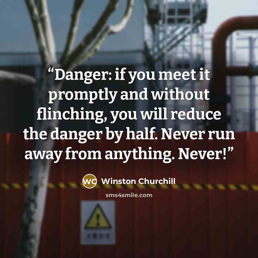 “Danger: if you meet it promptly and without flinching, you will reduce the danger by half. Never run away from anything. Never!” quote by Winston Churchill