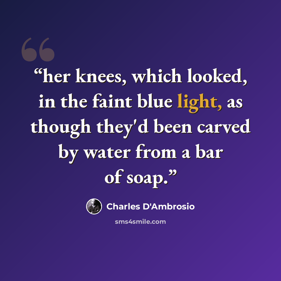 “her knees, which looked, in the faint blue light, as though they'd been carved by water from a bar of soap.” quote by Charles D'Ambrosio