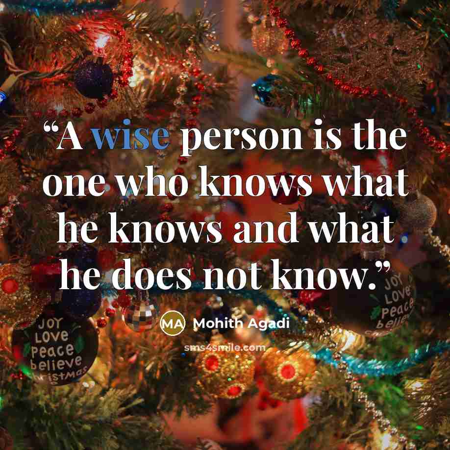 “A wise person is the one who knows what he knows and what he does not know.” quote by Mohith Agadi
