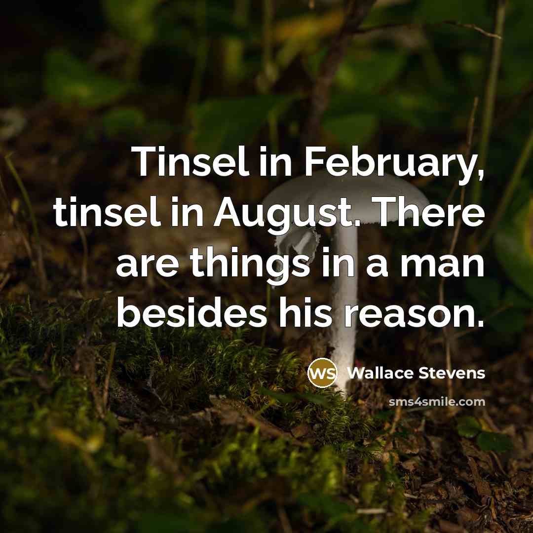 “Tinsel in February, tinsel in August. There are things in a man besides his reason.” quote by Wallace Stevens