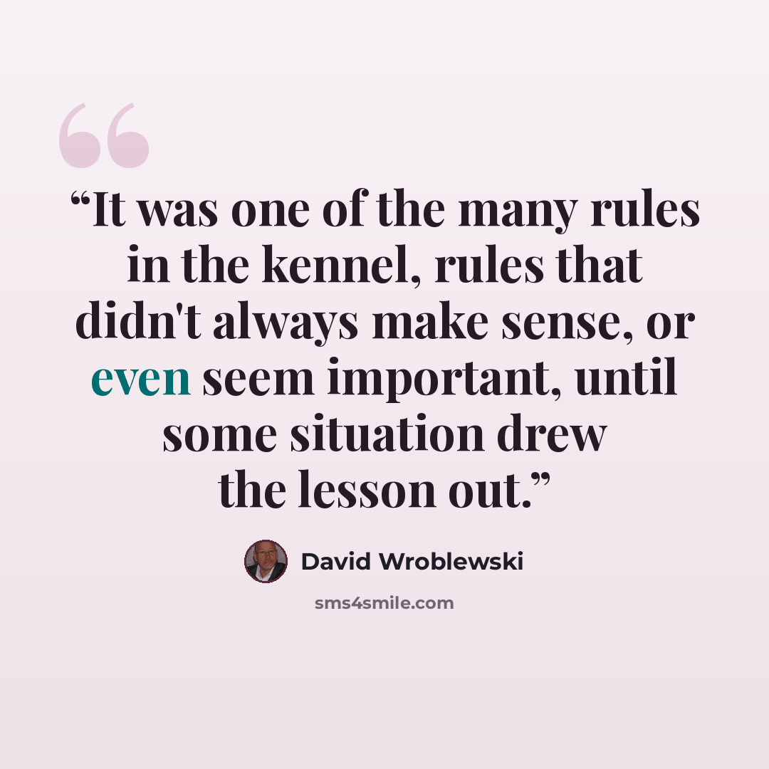 “It was one of the many rules in the kennel, rules that didn't always make sense, or even seem important, until some situation drew the lesson out.” quote by David Wroblewski