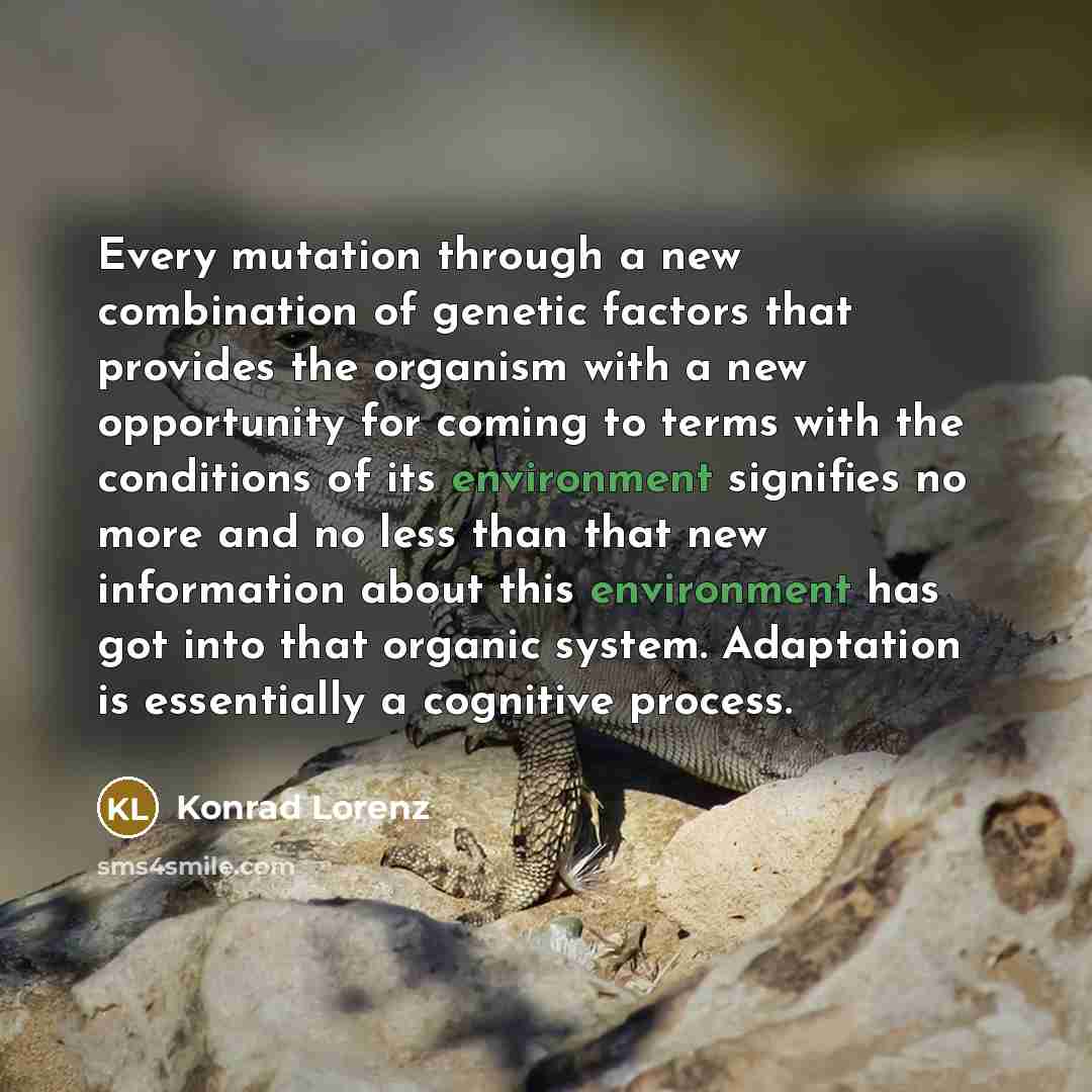 “Every mutation through a new combination of genetic factors that provides the organism with a new opportunity for coming to terms with the conditions of its environment signifies no more and no less than that new information about this environment has got into that organic system. Adaptation is…” quote by Konrad Lorenz
