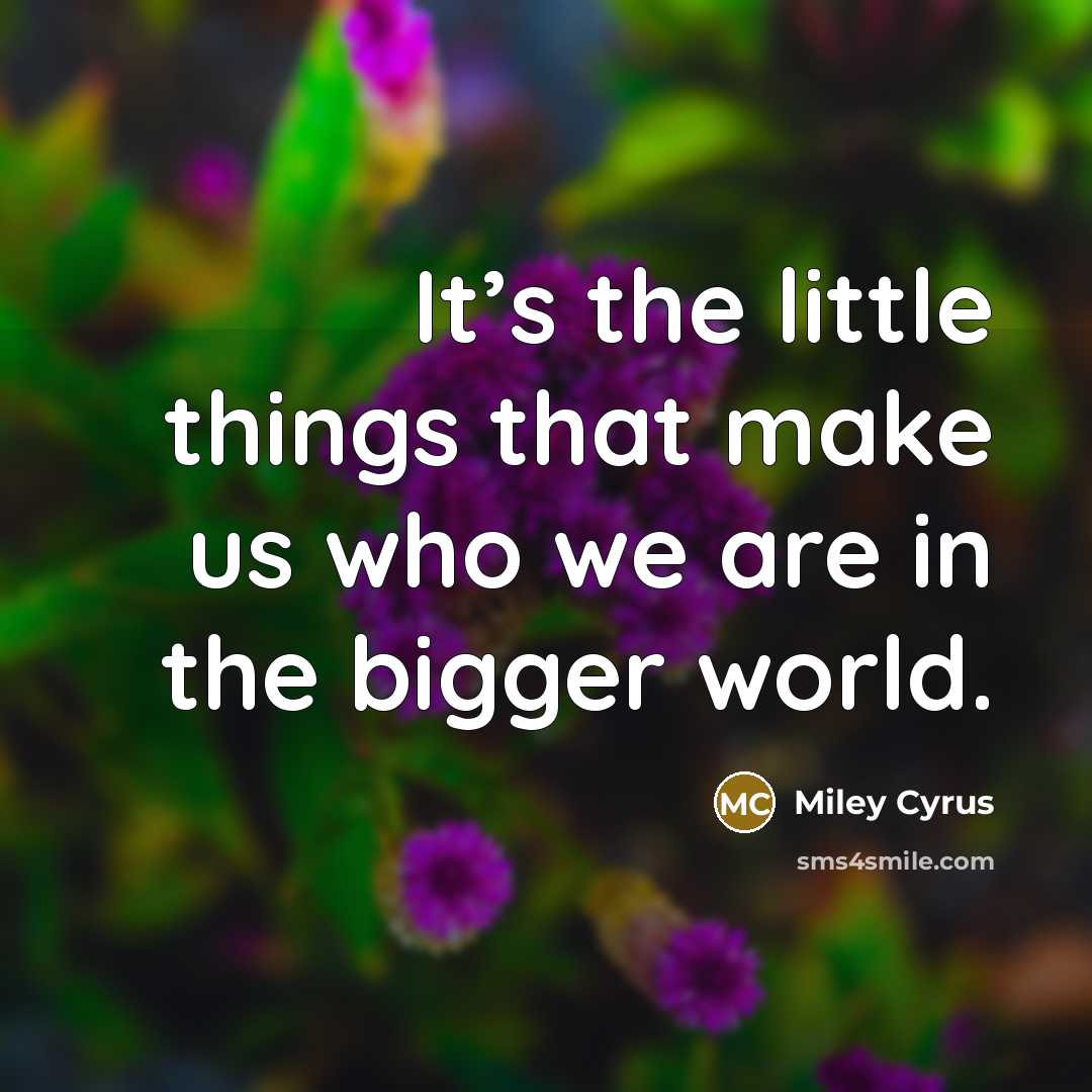 “It’s the little things that make us who we are in the bigger world.” quote by Miley Cyrus
