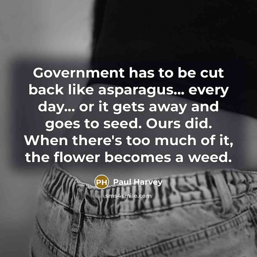 “Government has to be cut back like asparagus... every day... or it gets away and goes to seed. Ours did. When there's too much of it, the flower becomes a weed.” quote by Paul Harvey