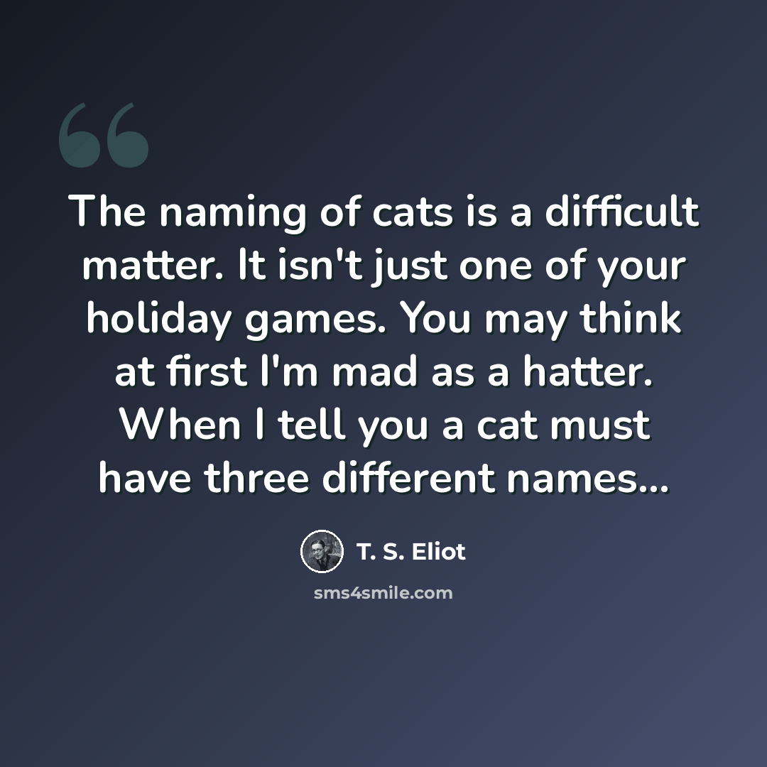 “The naming of cats is a difficult matter. It isn't just one of your holiday games. You may think at first I'm mad as a hatter. When I tell you a cat must have three different names...” quote by T. S. Eliot