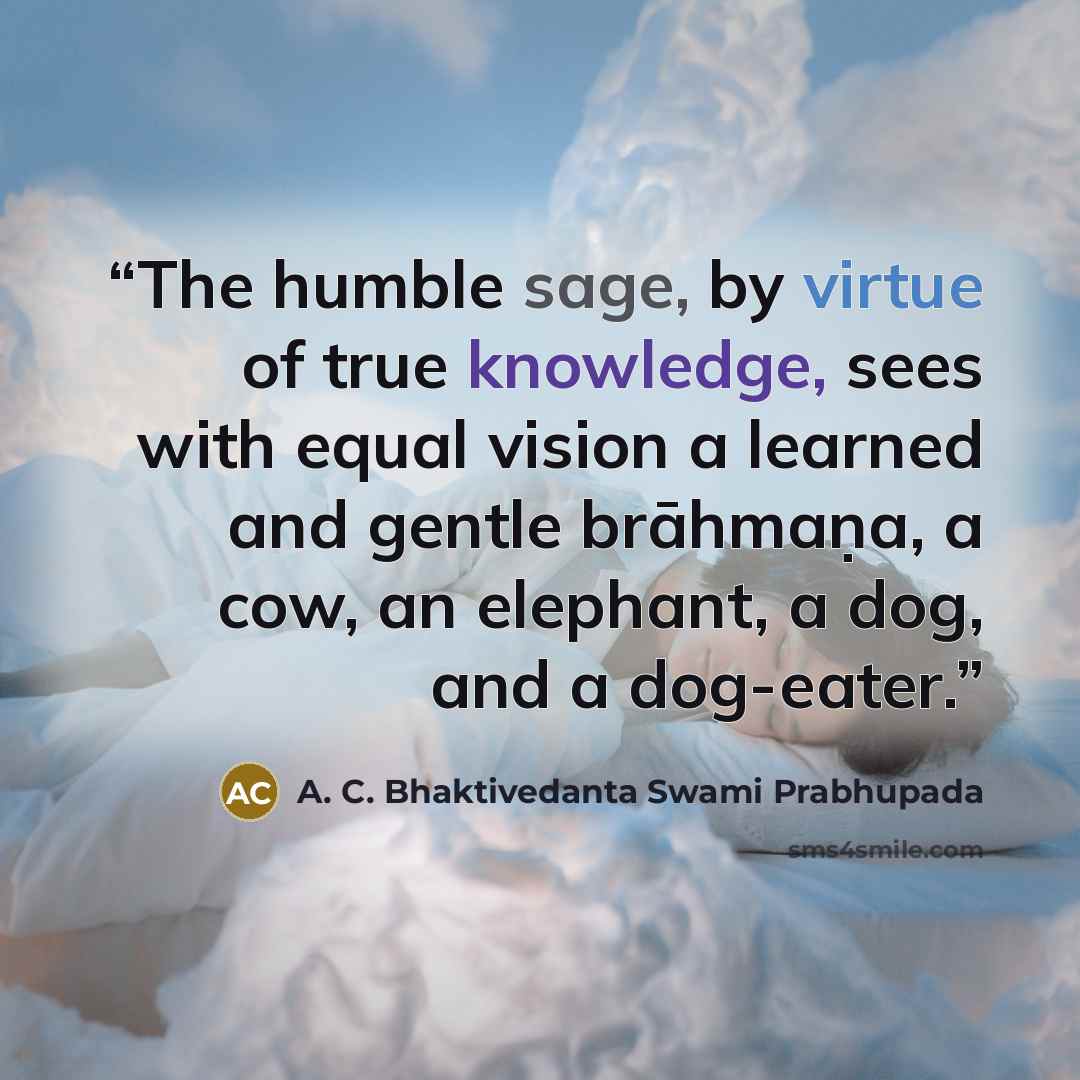 “The humble sage, by virtue of true knowledge, sees with equal vision a learned and gentle brāhmaṇa, a cow, an elephant, a dog, and a dog-eater.” quote by A. C. Bhaktivedanta Swami Prabhupada