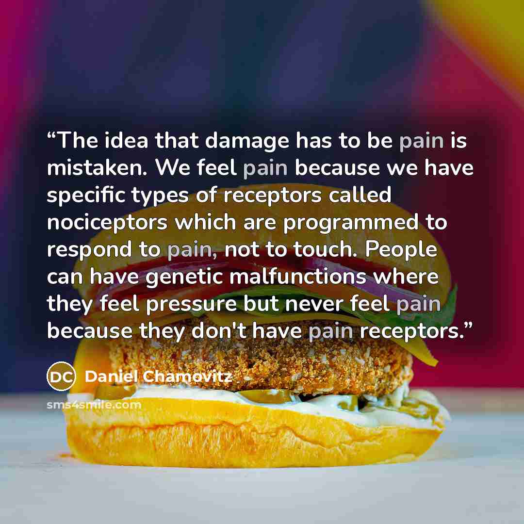 “The idea that damage has to be pain is mistaken. We feel pain because we have specific types of receptors called nociceptors which are programmed to respond to pain, not to touch. People can have genetic malfunctions where they feel pressure but never feel pain because they don't have pain…” quote by Daniel Chamovitz