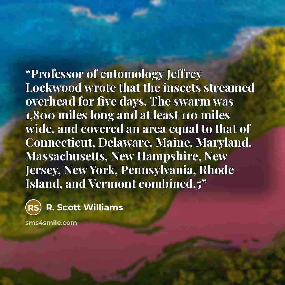 “Professor of entomology Jeffrey Lockwood wrote that the insects streamed overhead for five days. The swarm was 1,800 miles long and at least 110 miles wide, and covered an area equal to that of Connecticut, Delaware, Maine, Maryland, Massachusetts, New Hampshire, New Jersey, New York…” quote by R. Scott Williams