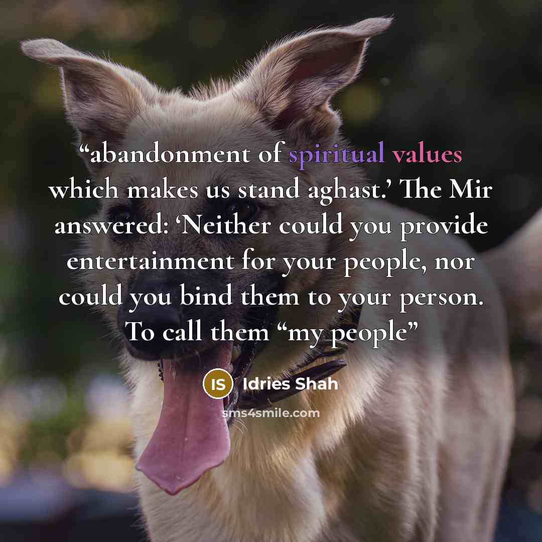 “abandonment of spiritual values which makes us stand aghast.’ The Mir answered: ‘Neither could you provide entertainment for your people, nor could you bind them to your person. To call them “my people” quote by Idries Shah